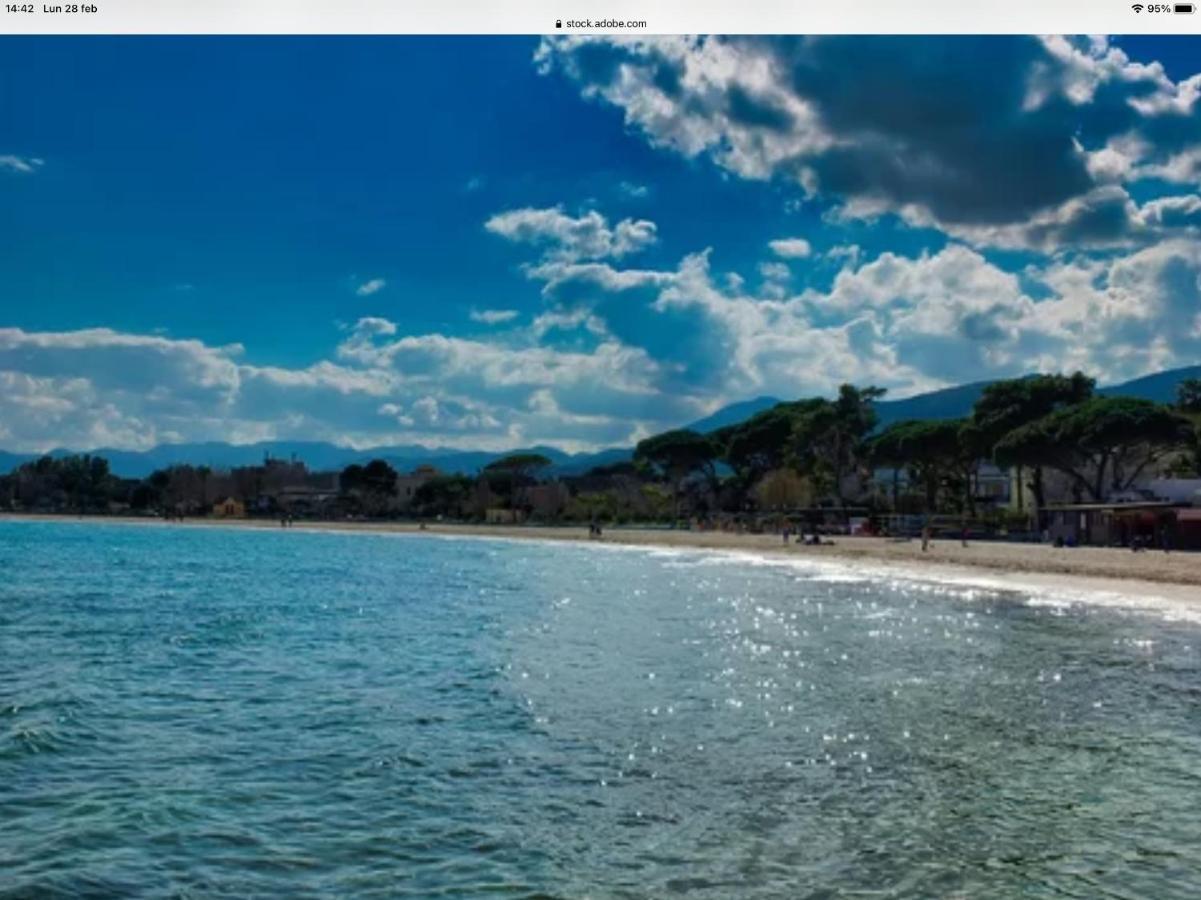 Ashur Mondello